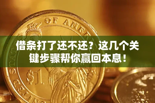 武汉借条打了还不还？这几个关键步骤帮你赢回本息！