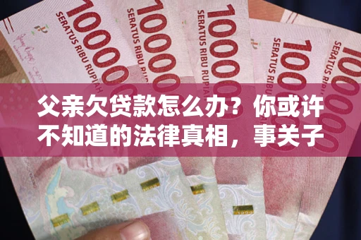 武汉父亲欠贷款怎么办？你或许不知道的法律真相，事关子女未来