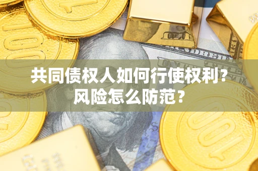 武汉共同债权人如何行使权利？风险怎么防范？