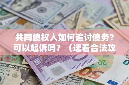 武汉共同债权人如何追讨债务？可以起诉吗？（速看合法攻略）