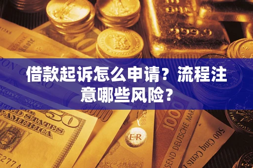 武汉借款起诉怎么申请？流程注意哪些风险？